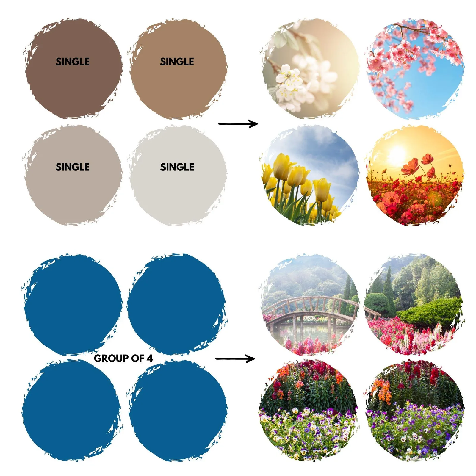 Brush Stroke Canva Frames, Drag & Drop Template Kit (Digital Template Pack) Canva Frames digital download preview by Cute & Co.