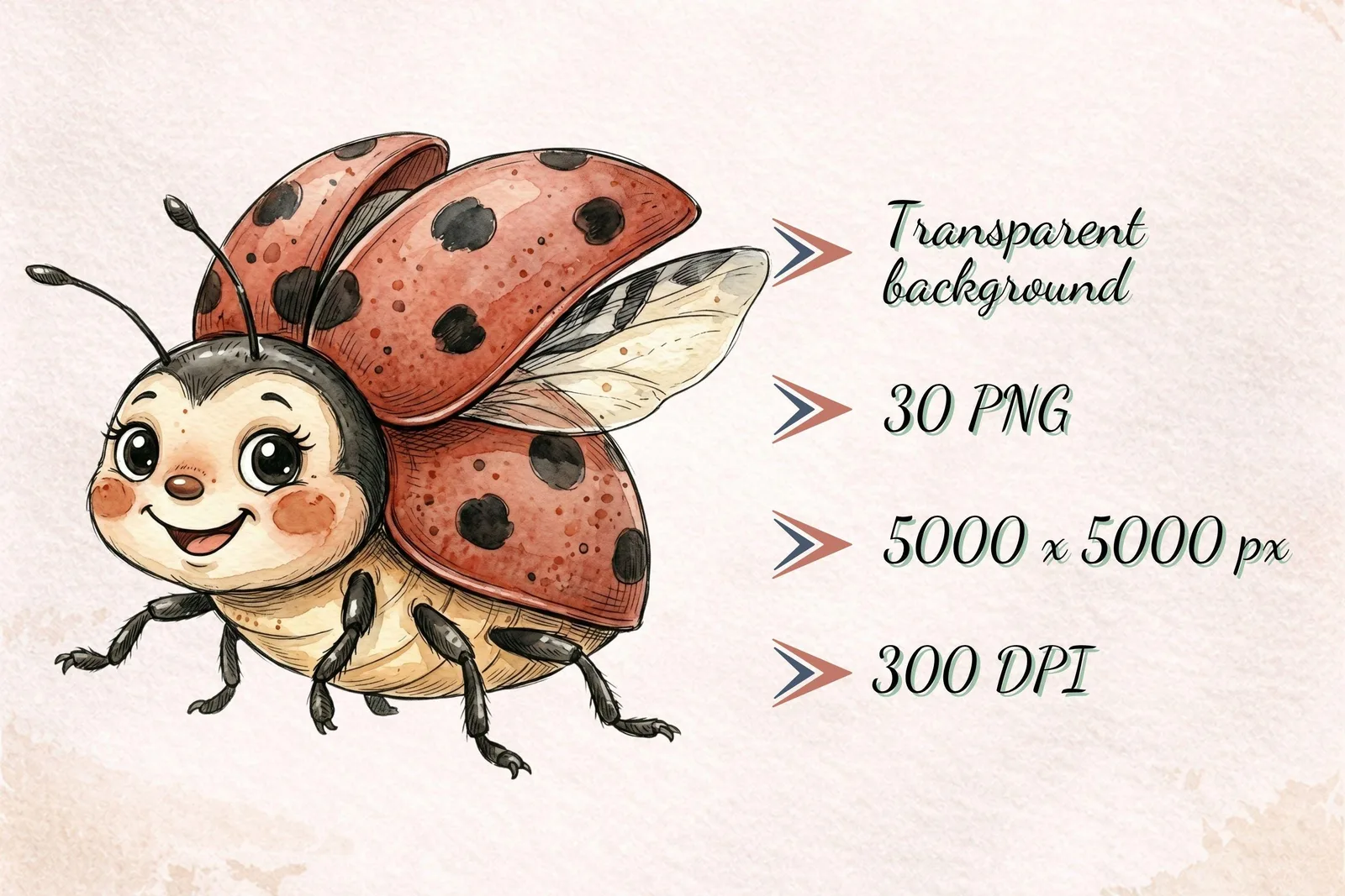 Cute Watercolor Bug Clipart Bundle | Whimsical Insects PNG Digital Download Transparent