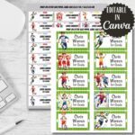 Soccer Labels Set, Back to School Stickers, Editable in Canva (Digital Download)