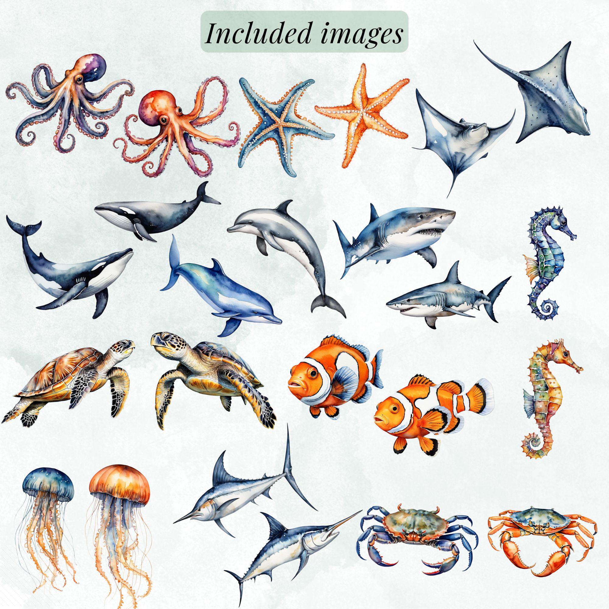 Watercolor Sea Life Clipart Bundle, Ocean Animals, Alphabet, Seamless Papers (PNG) - Image 2